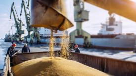 С 14 мая в России пошлины на экспорт зерна останутся нулевыми
